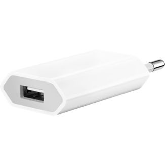 Apple USB Power Adapter for 350 Rs (Market Price 1500 Rs)