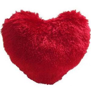 Cenizas Valentine Special Cushion for 79 Rs (Market Price 499 Rs)