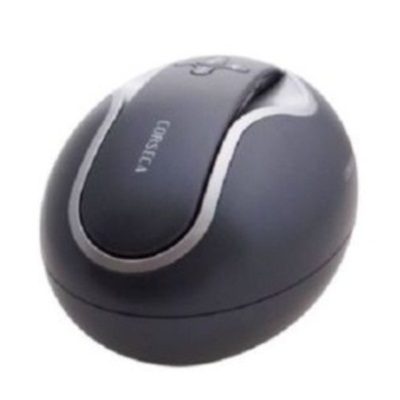 Corseca Oval Wireless Mobile/Tablet Speaker for Rs 1943 (Market Price Rs 2999)